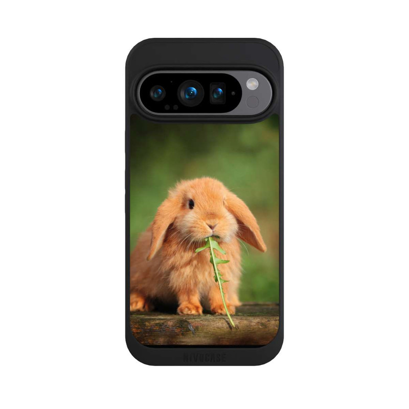 Pixel 9 Pro NIVOpure Kaninchen mit Grünzeug