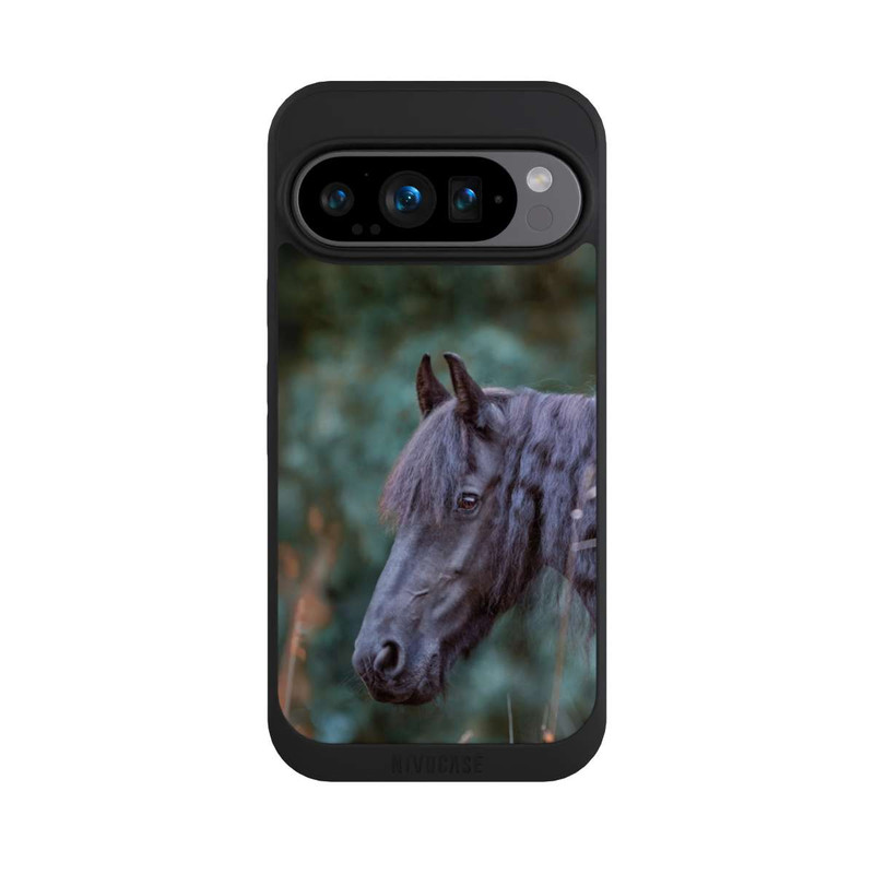 Pixel 9 Pro NIVOpure Friese Porträt