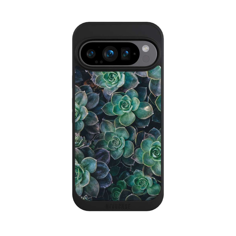 Pixel 9 Pro NIVOpure Sukkulenten Beet