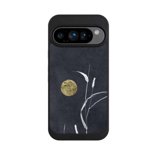 Google Pixel 9 Pro NIVOpure Dämmerung in der Dunkelheit