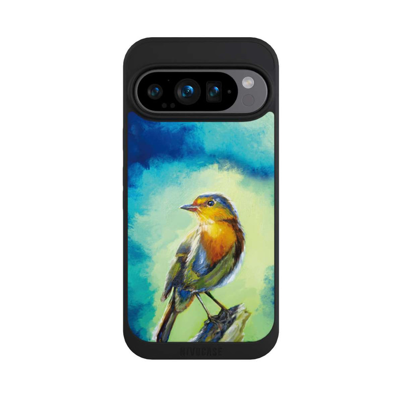 Pixel 9 Pro NIVOpure Rotkehlchen