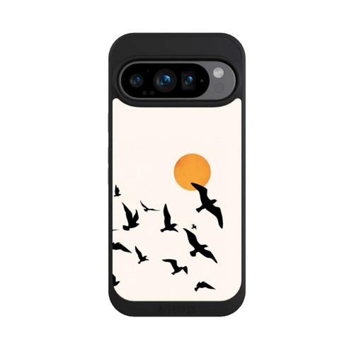 Google Pixel 9 Pro NIVOpure Auf und davon