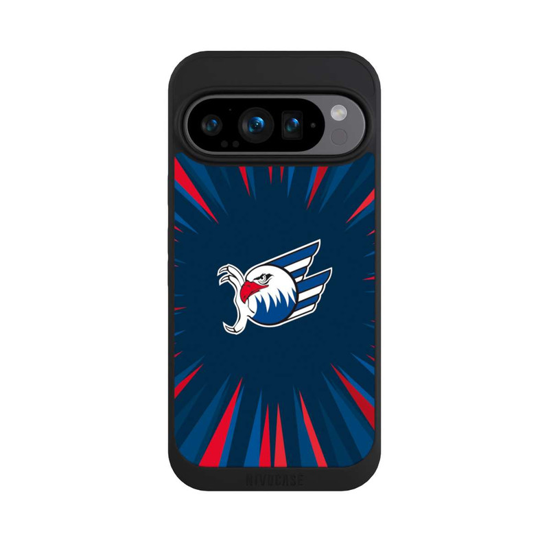 Pixel 9 Pro NIVOpure Adler Mannheim Strahlen Blau Rot