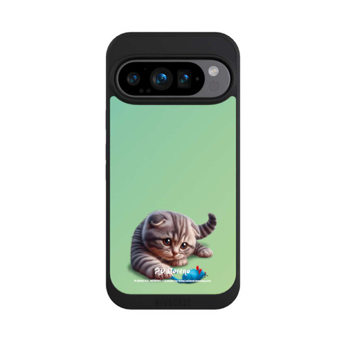 Google Pixel 9 Pro NIVOpure Playing Cat with Mouse