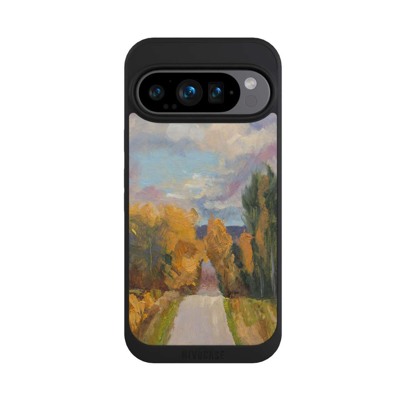 Pixel 9 Pro NIVOpure Grandview Autumn by Roberta Murray