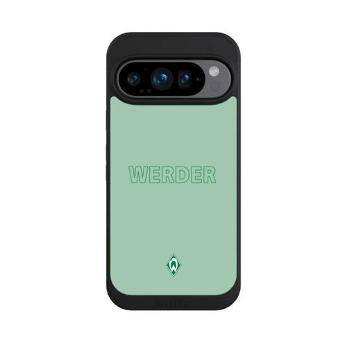 Google Pixel 9 Pro NIVOpure Werder Grün