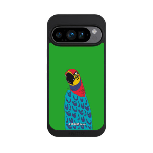 Google Pixel 9 Pro NIVOpure Drei Fragezeichen und der Super-Papagei