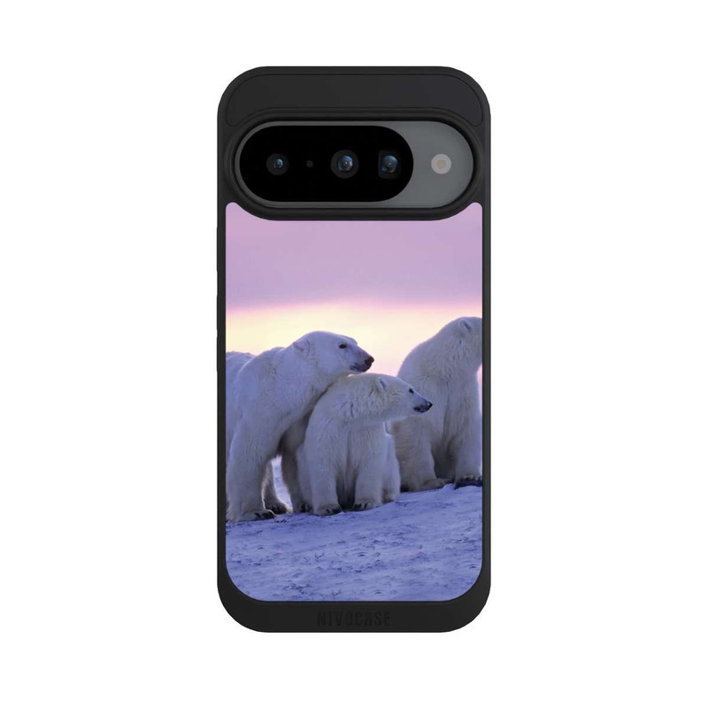 Pixel 10 NIVOpure Die Eisbären