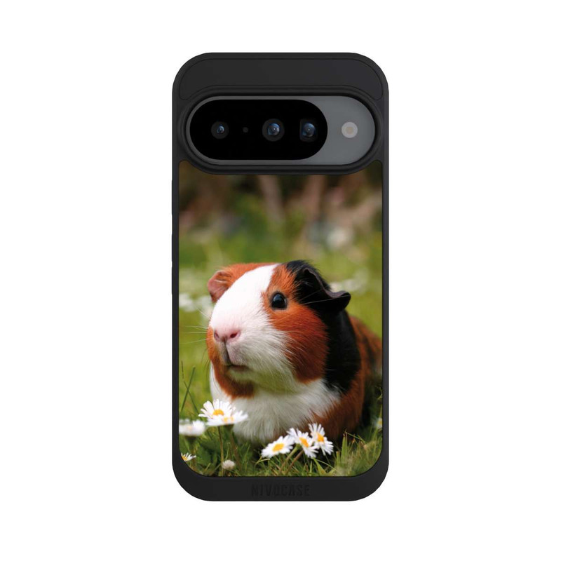 Pixel 10 NIVOpure Cochon d'Inde