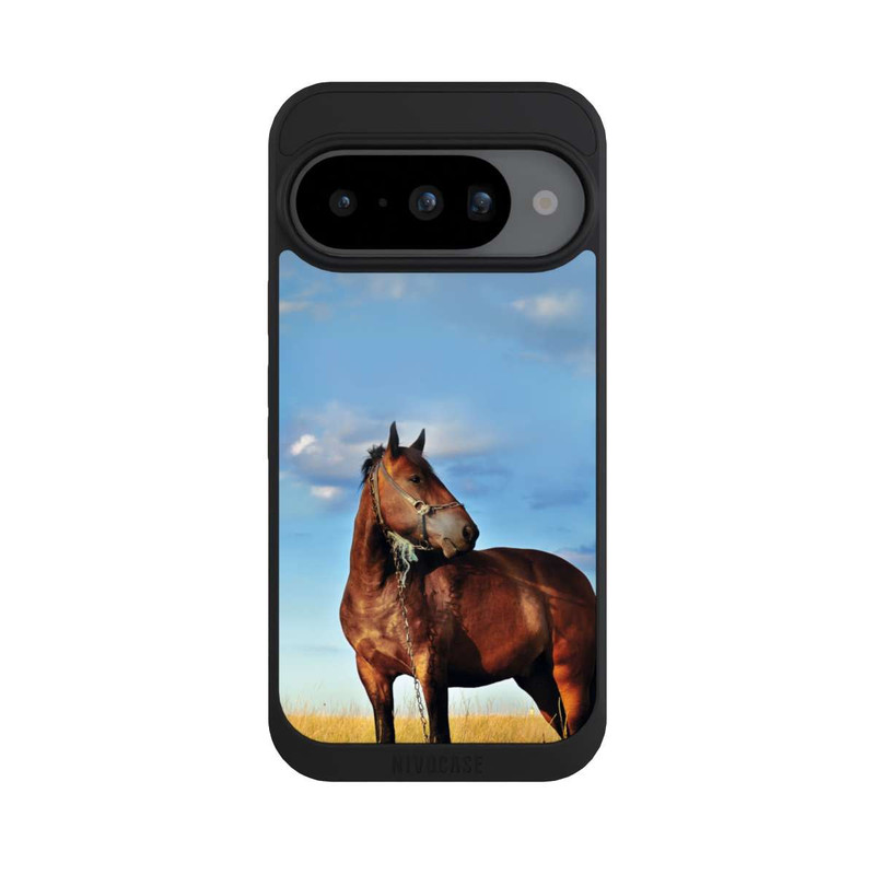 Pixel 10 NIVOpure Pferd in der Natur