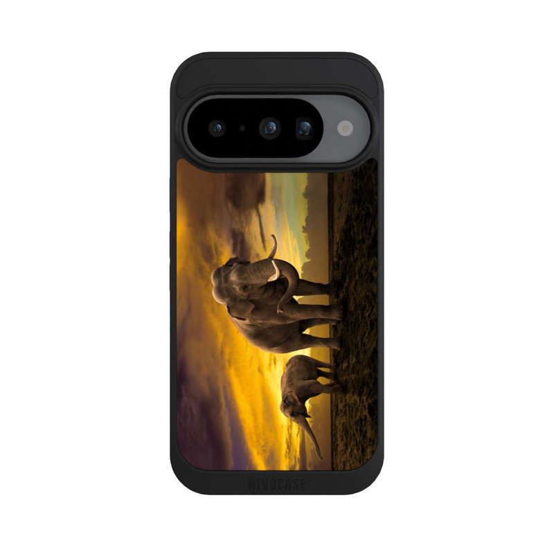 Pixel 10 NIVOpure C'est l'Afrique