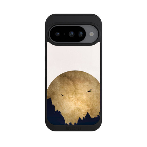 Google Pixel 10 NIVOpure Deux oiseaux et la lune