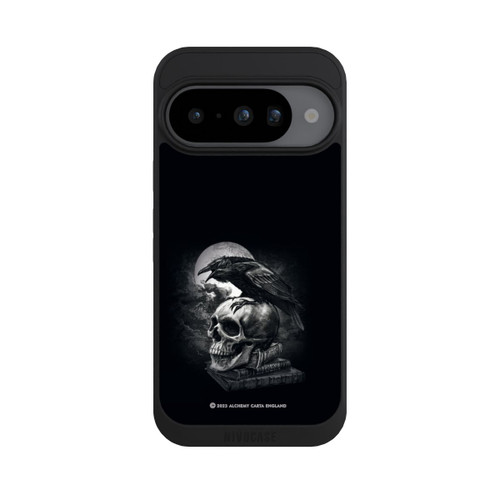 Google Pixel 10 NIVOpure Poe's Raven