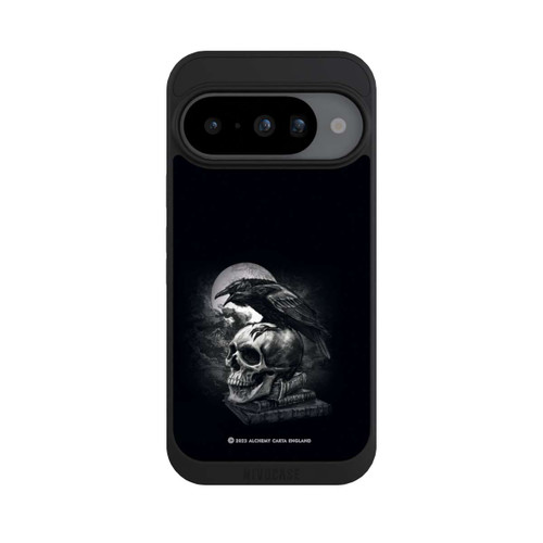 Google Pixel 10 NIVOpure Poe's Raven