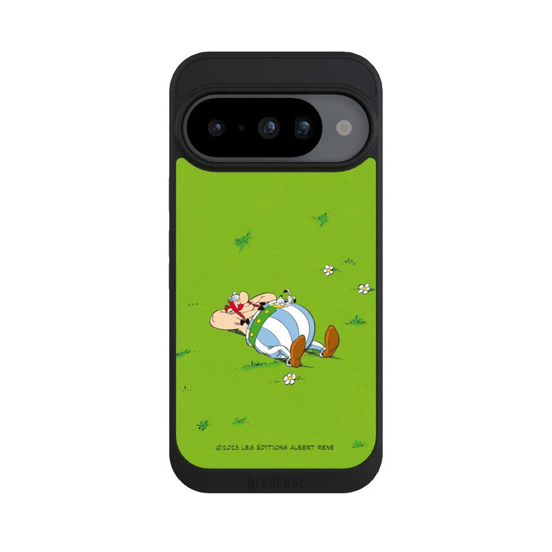 Pixel 10 NIVOpure Obelix Ruht Sich Aus