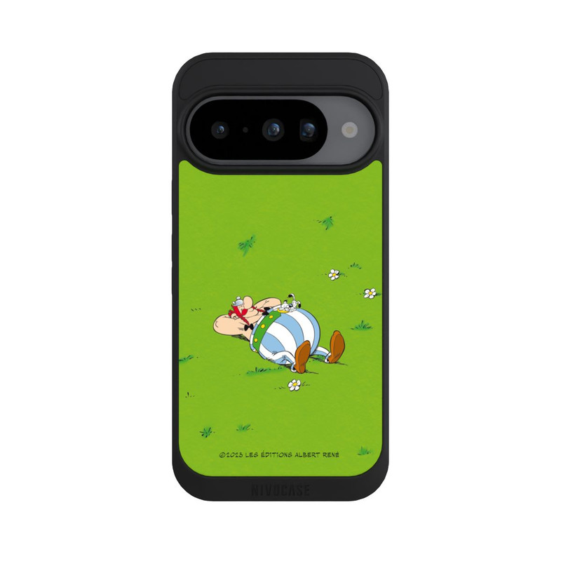 Pixel 10 NIVOpure Obelix Ruht Sich Aus