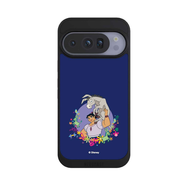 Pixel 10 Pro NIVOpure Luisa - Encanto