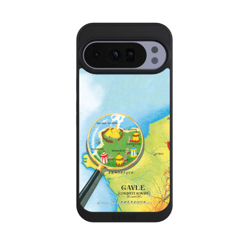Google Pixel 10 Pro XL NIVOpure Gaule Carte