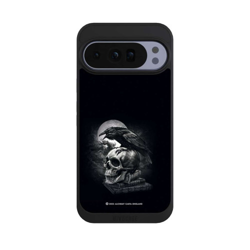 Google Pixel 10 Pro XL NIVOpure Poe's Raven