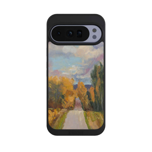 Google Pixel 10 Pro XL NIVOpure Grandview Autumn by Roberta Murray