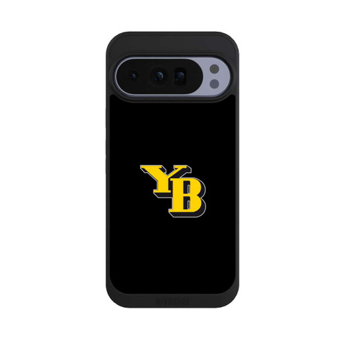 Google Pixel 10 Pro XL NIVOpure BSC YB