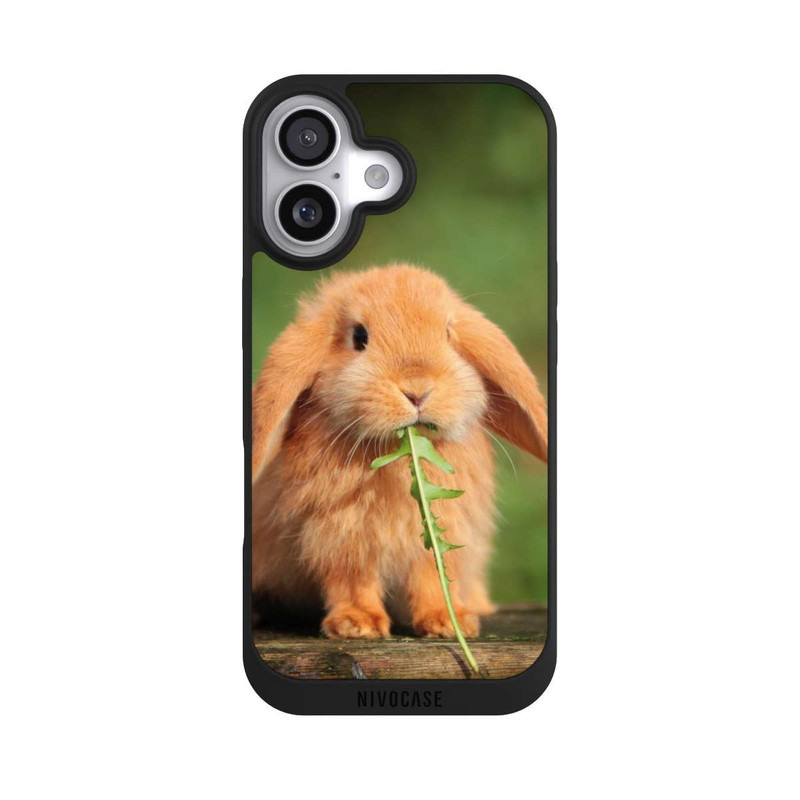 iPhone 17 NIVOpure Kaninchen mit Grünzeug