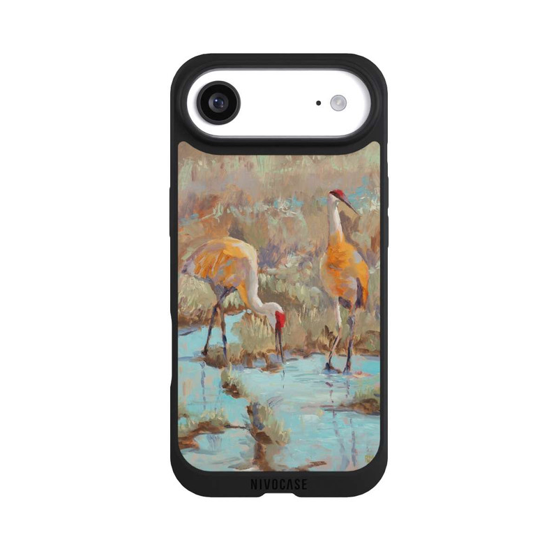 iPhone Air NIVOpure The Courtship by Roberta Murray