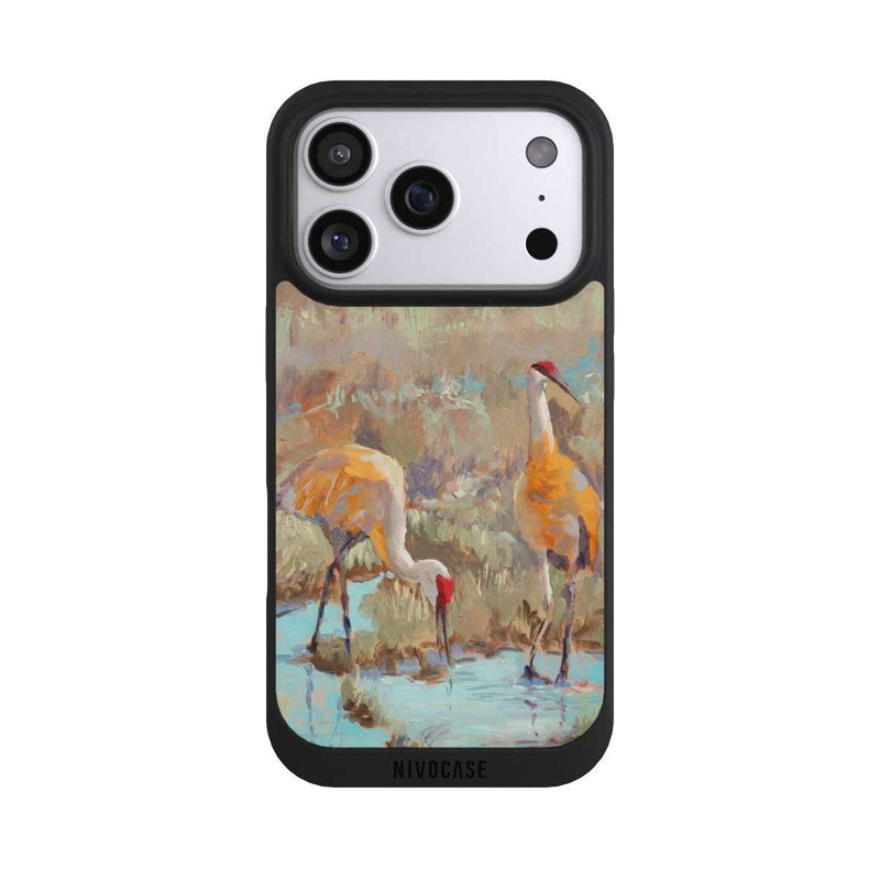 iPhone 17 Pro NIVOpure The Courtship by Roberta Murray