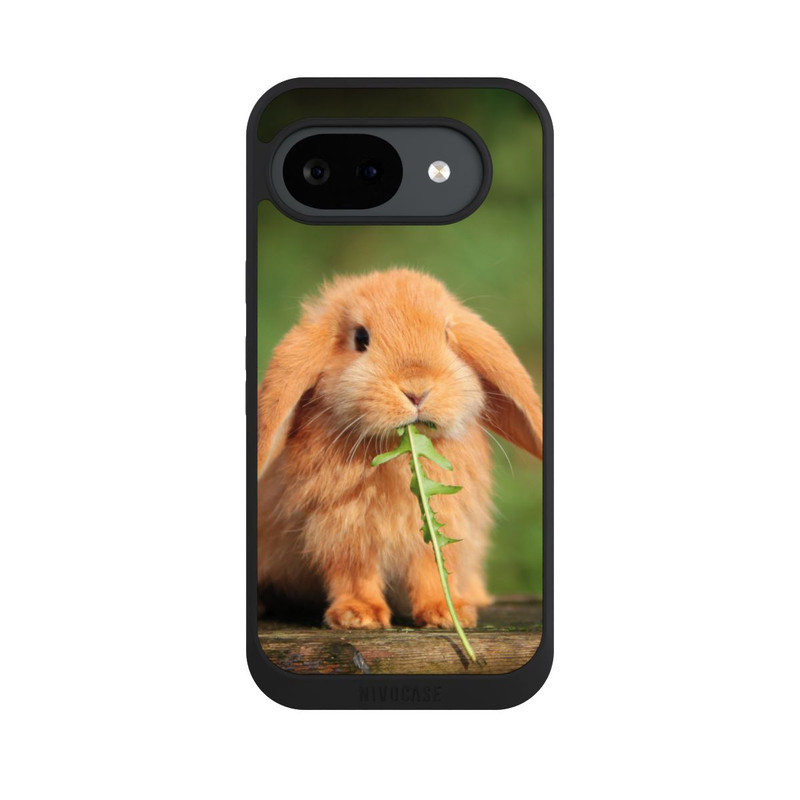 Pixel 10 a NIVOpure Kaninchen mit Grünzeug