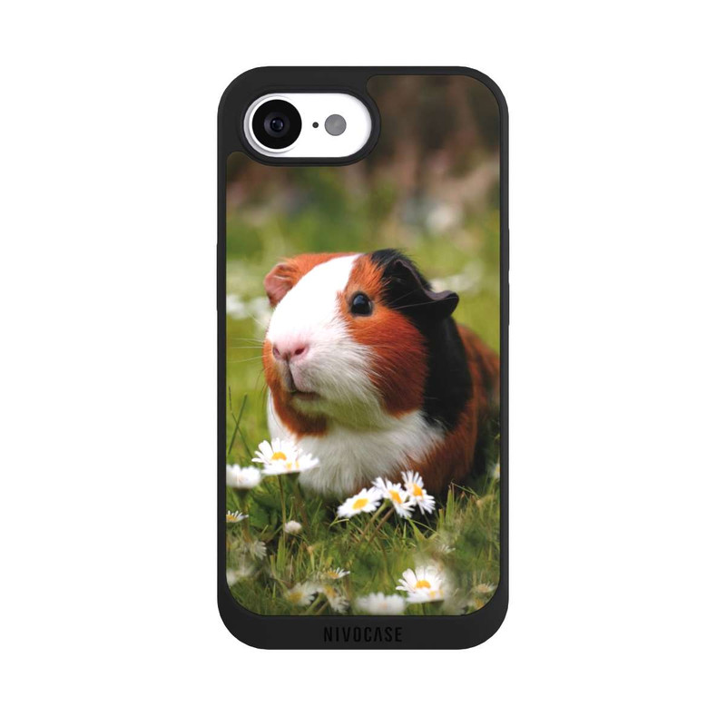 17 e NIVOpure Cochon d'Inde