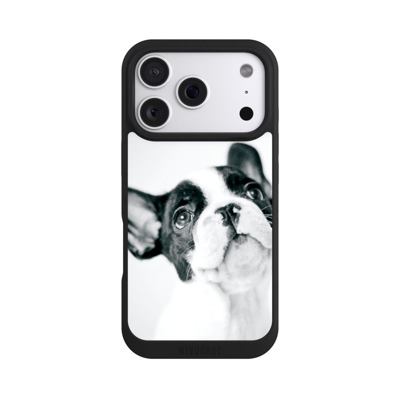 iPhone 18 Pro NIVOpure Frenchy Louis