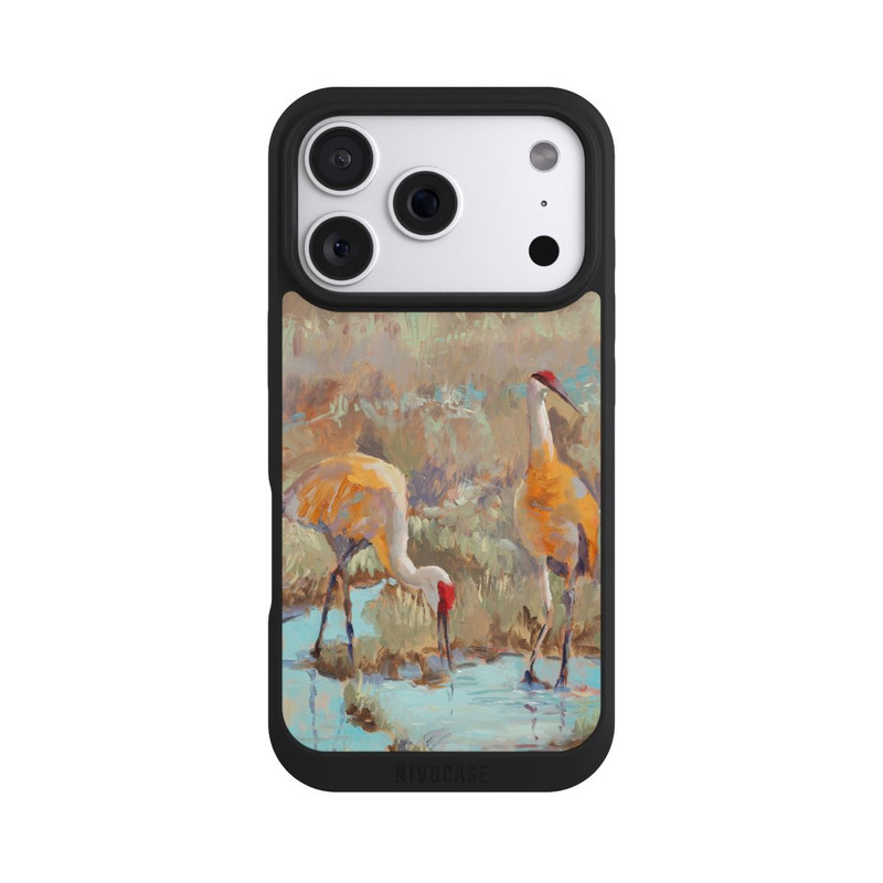 iPhone 18 Pro NIVOpure The Courtship by Roberta Murray