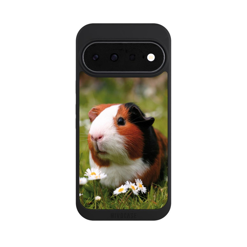 Pixel 11 NIVOpure Cochon d'Inde