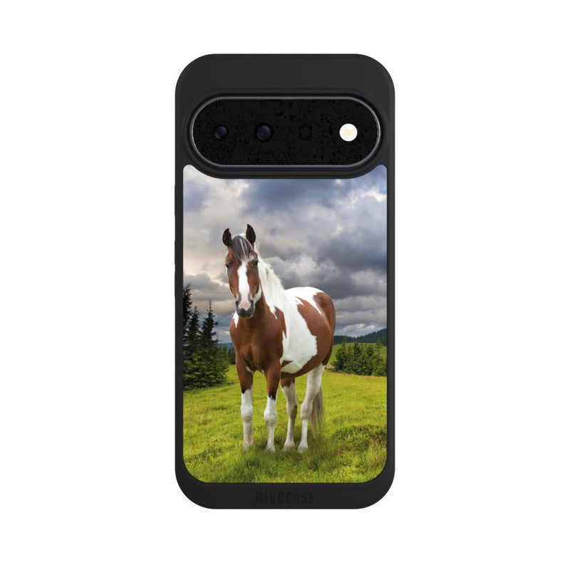 Pixel 11 NIVOpure Pinto