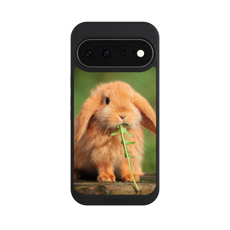 Pixel 11 NIVOpure Kaninchen mit Grünzeug