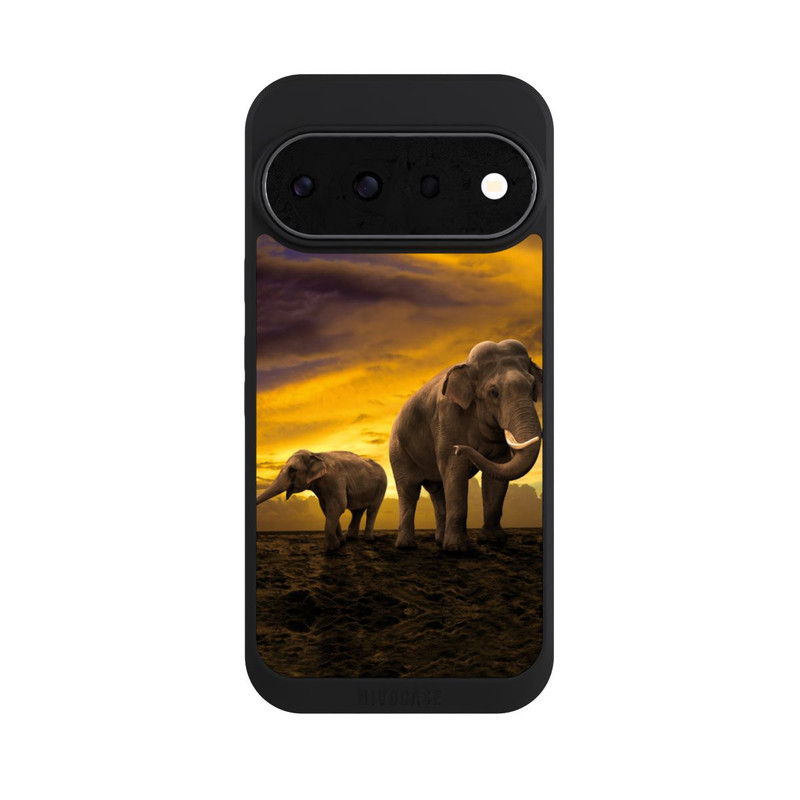 Pixel 11 Pro NIVOpure Das ist Afrika