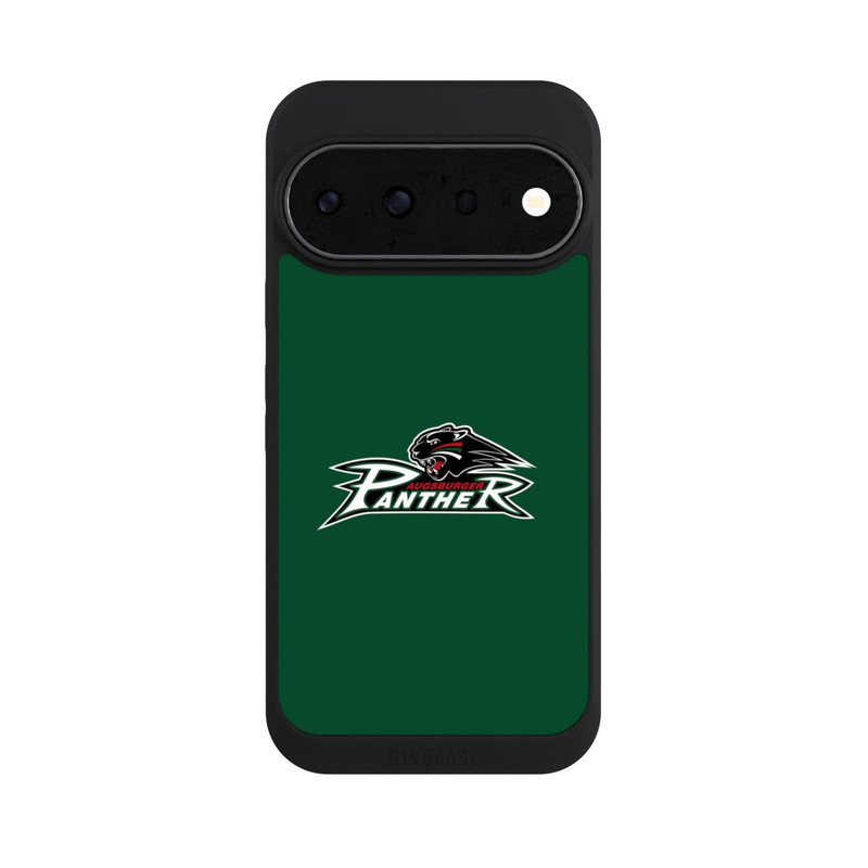 Pixel 11 Pro NIVOpure Augsburger Panther Grün Logo Original