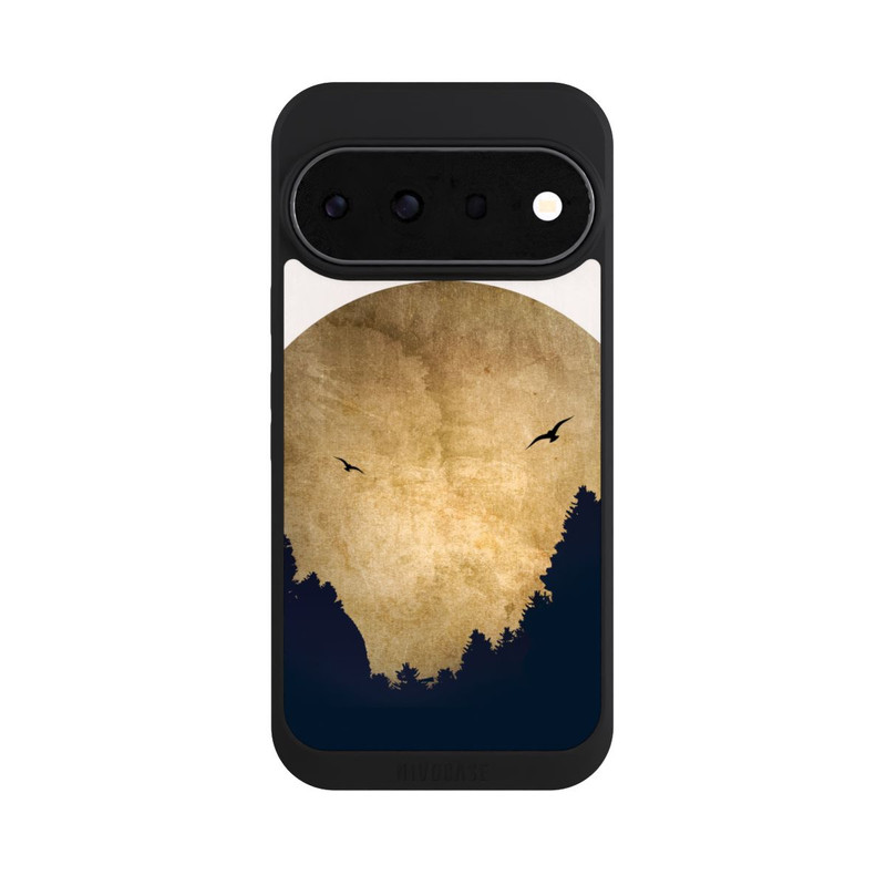 Pixel 11 Pro NIVOpure Zwei Vögel vor Mond