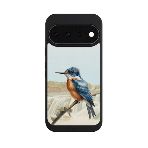 Google Pixel 11 Pro NIVOpure Martin-pêcheur rétro