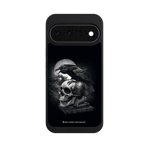 Google Pixel 11 Pro XL NIVOpure Poe's Raven