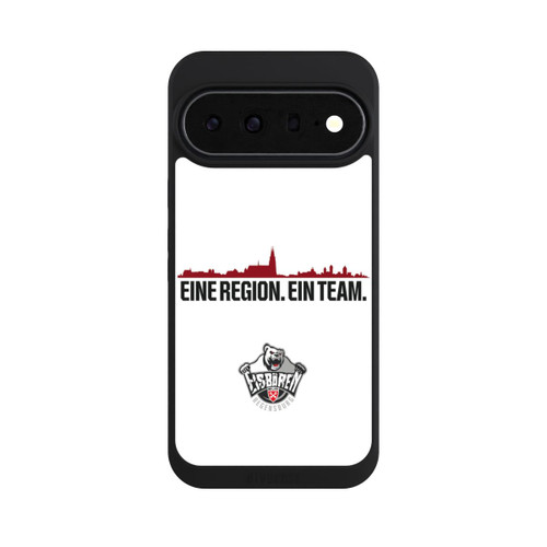Google Pixel 11 Pro XL NIVOpure Eisbären Regensburg Skyline