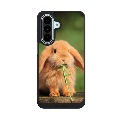 Samsung Galaxy A27 5G NIVOpure Lapin Herbes