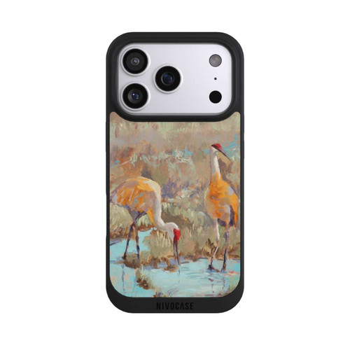 Apple iPhone 17 Pro NIVOpure The Courtship by Roberta Murray