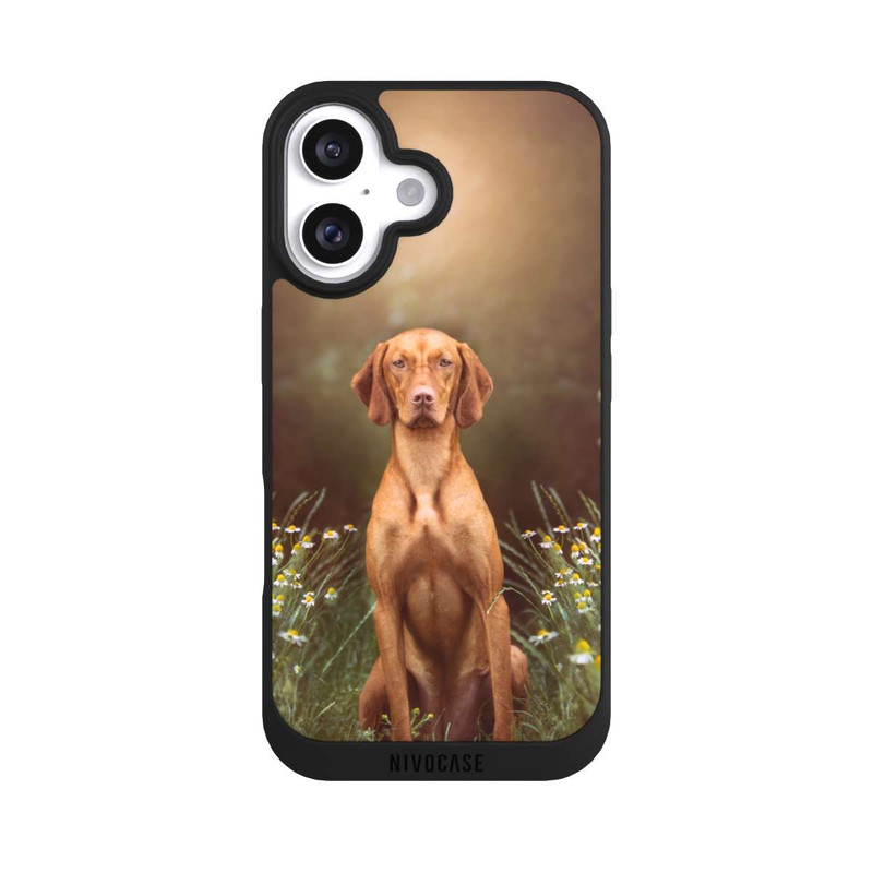 iPhone 16 NIVOpure Hund Braun Portrait
