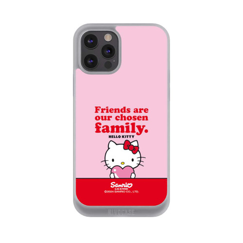 Apple iPhone 12 Pro NIVOpure HK Friends are Family