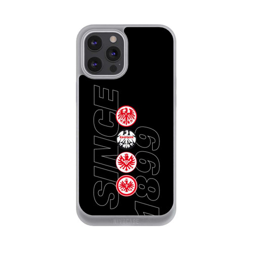 Apple iPhone 12 Pro Max NIVOpure Seit 1899 