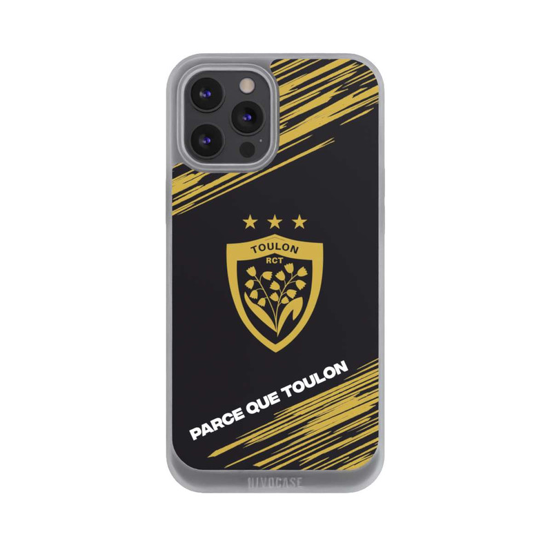 iPhone 12 Pro Max NIVOpure RCT Logo Gold Monochrom