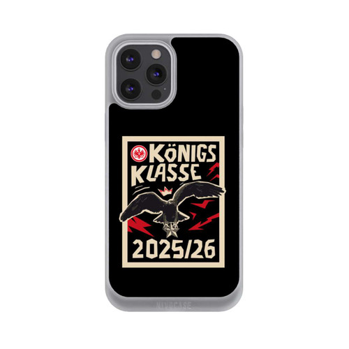 Apple iPhone 12 Pro Max NIVOpure SGE Königsklasse 25-26