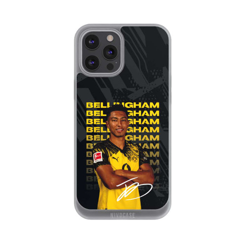 Apple iPhone 12 Pro Max NIVOpure Jobe Bellingham 25/26