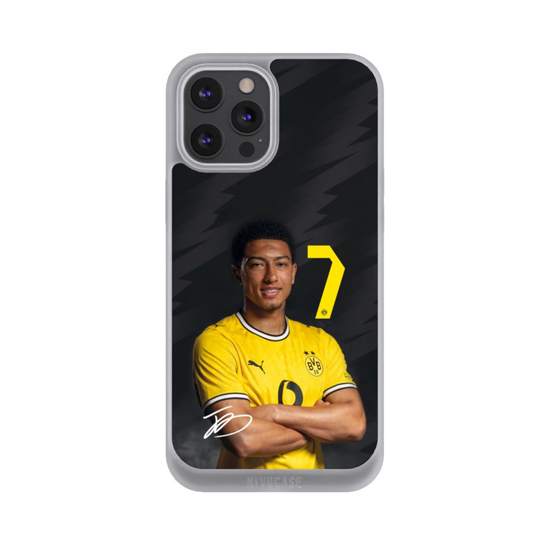 iPhone 12 Pro Max NIVOpure Jobe Bellingham 26/27